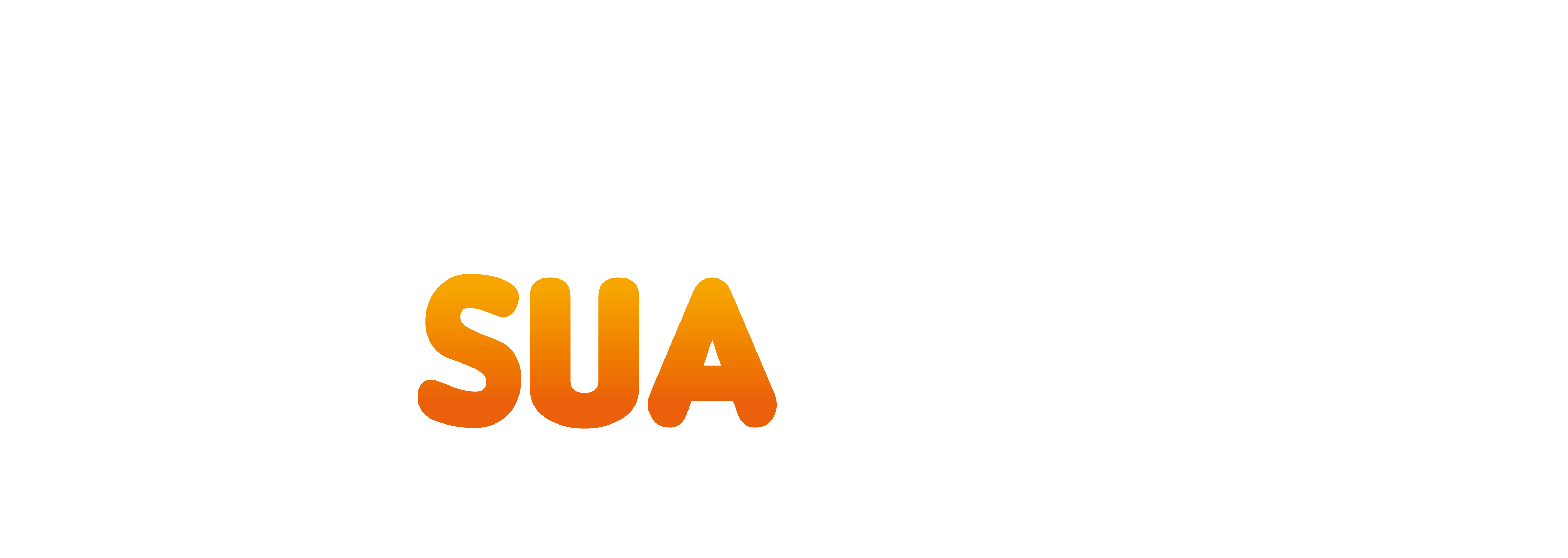 Encontre Sua Viagem